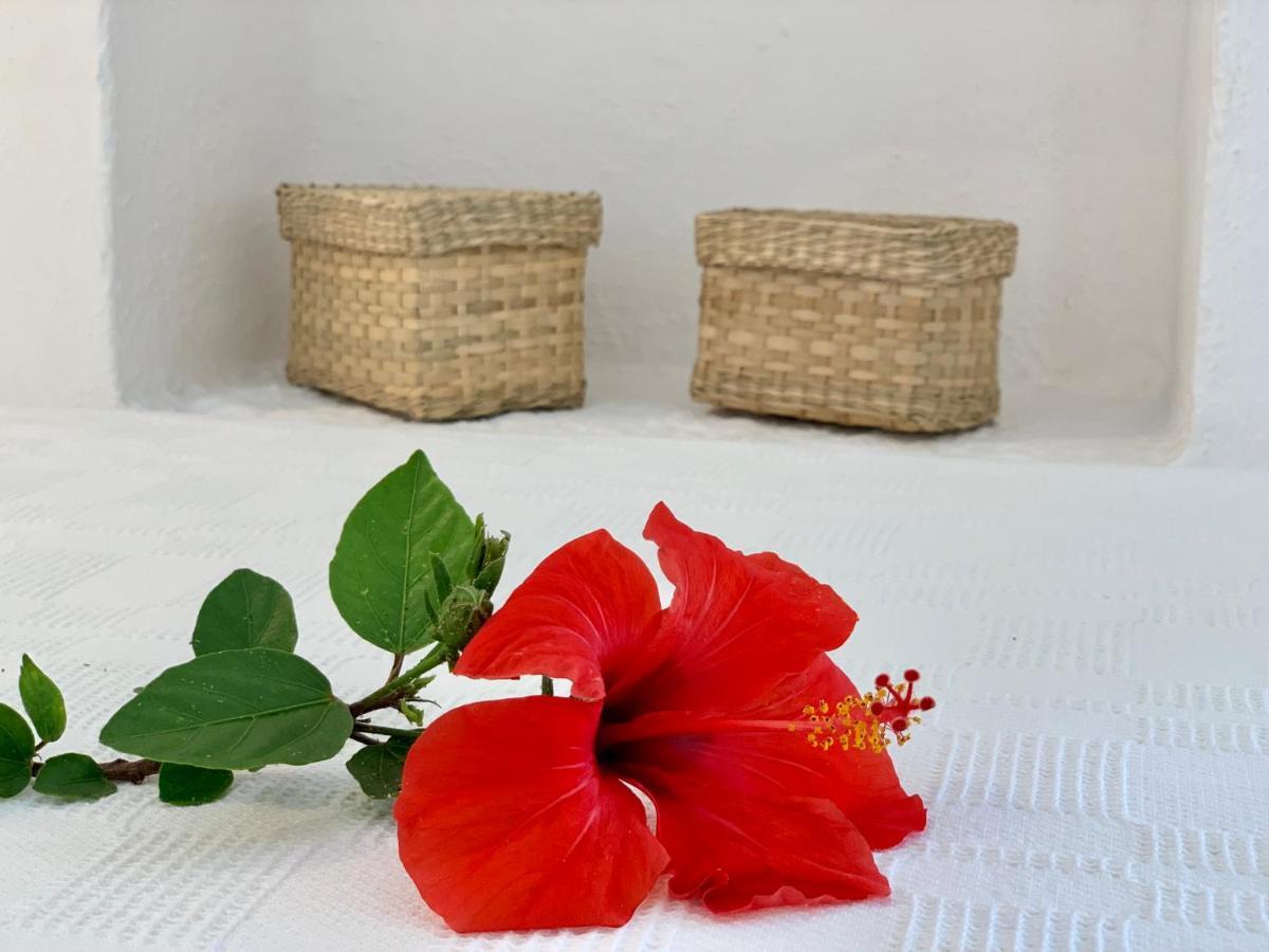 Alkyonis Villas Kamares  Ngoại thất bức ảnh